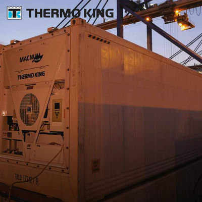 MP4000 THERMO KING Máy làm lạnh container Magnum Plus