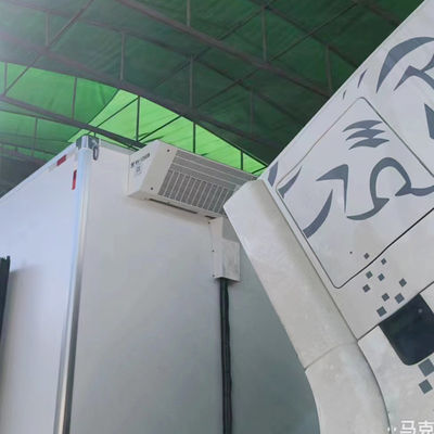 Bộ phận làm lạnh THERMO KING RV1200S RV1200 cho hệ thống làm mát xe tải lạnh, thiết bị giữ thịt cá