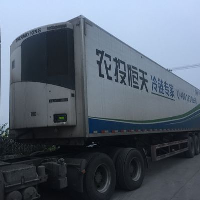 Đơn vị đông lạnh Thermo King 0 độ C SLXI 300 để làm lạnh thực phẩm